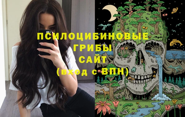 бутират Алзамай