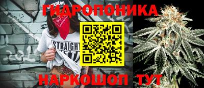 a pvp Тула