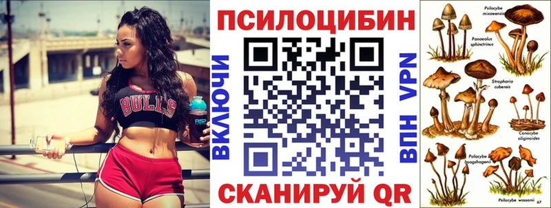 Галлюциногенные грибы ЛСД купить цена Мегион