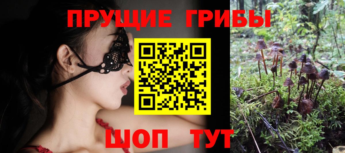 Мегион  Псилоцибиновые грибы мицелий  Вход с VPN  Псилоцибиновые грибы прущие грибы 